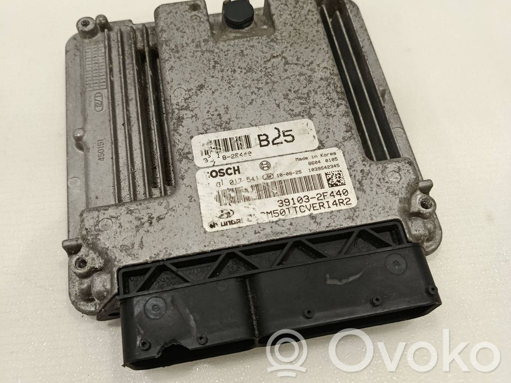 Hyundai Santa Fe Engine control unit/module 