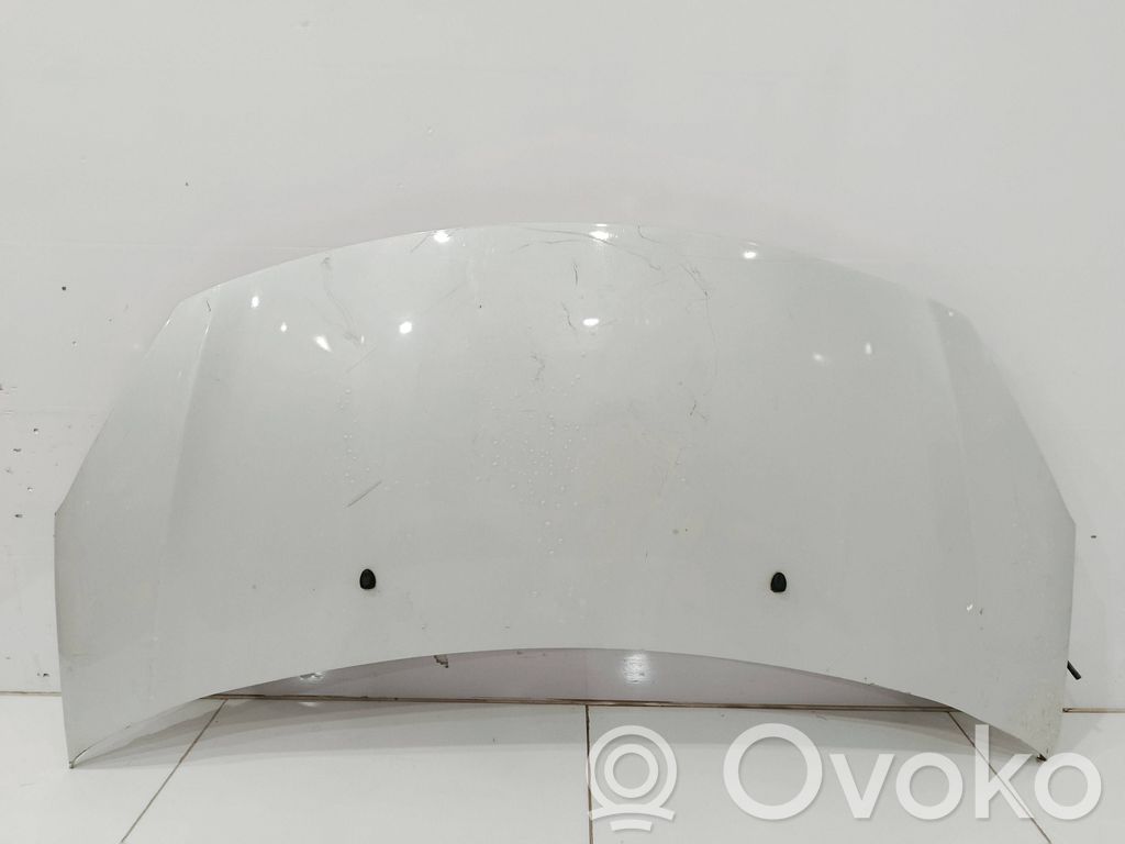 Motorhaube