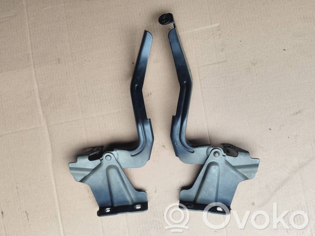 Engine bonnet/hood hinges