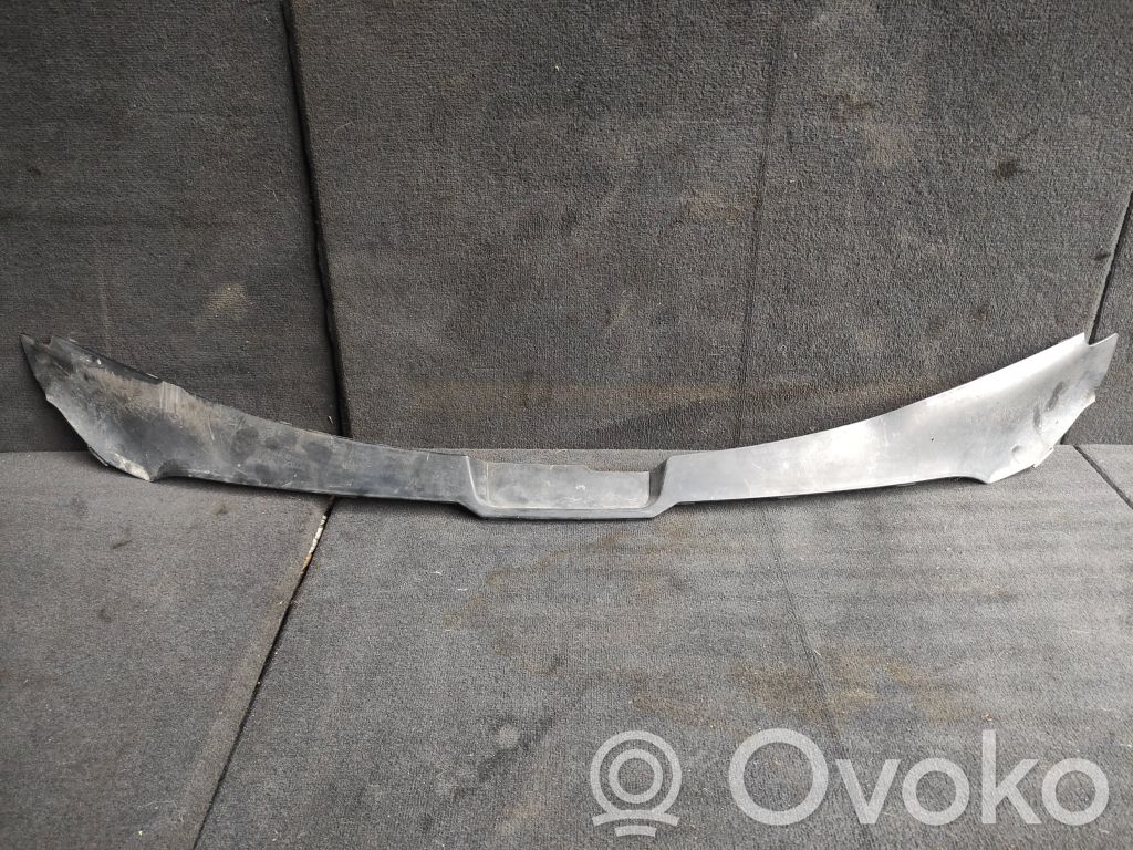 Audi A8 S8 D3 4E Viršutinė dalis radiatorių panelės (televizoriaus) 