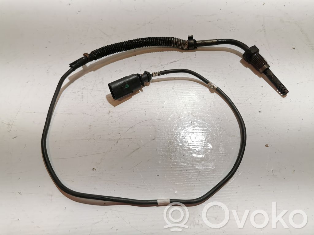 Skoda Roomster (5J) Exhaust gas temperature sensor 