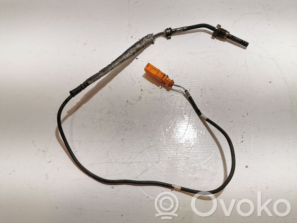 Skoda Roomster (5J) Exhaust gas temperature sensor 