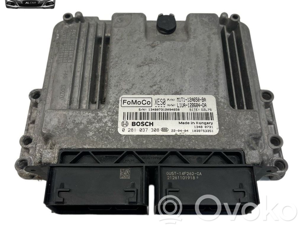 Engine control unit/module   M1T112A650BA,0281037308,L1UA12B684DA