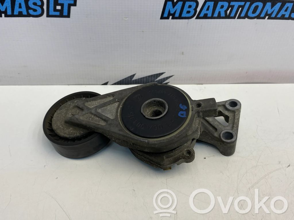 Volkswagen PASSAT B6 Tensor de correa del alternador 