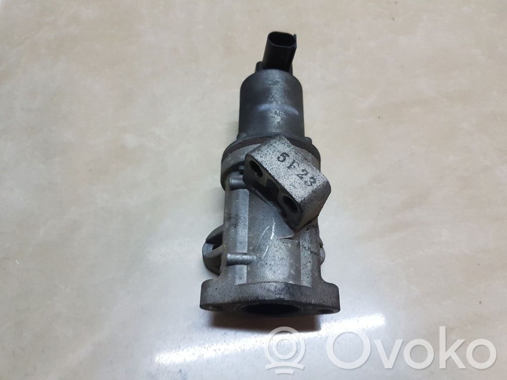 Válvula EGR   284104A100