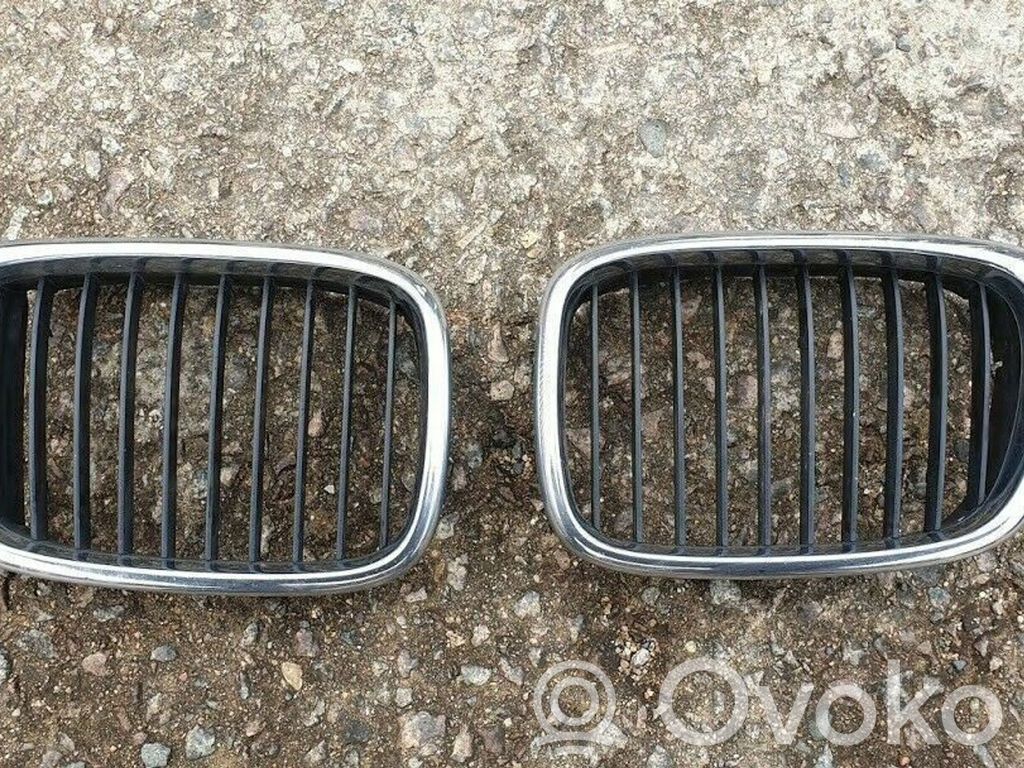 Front grill   2494066