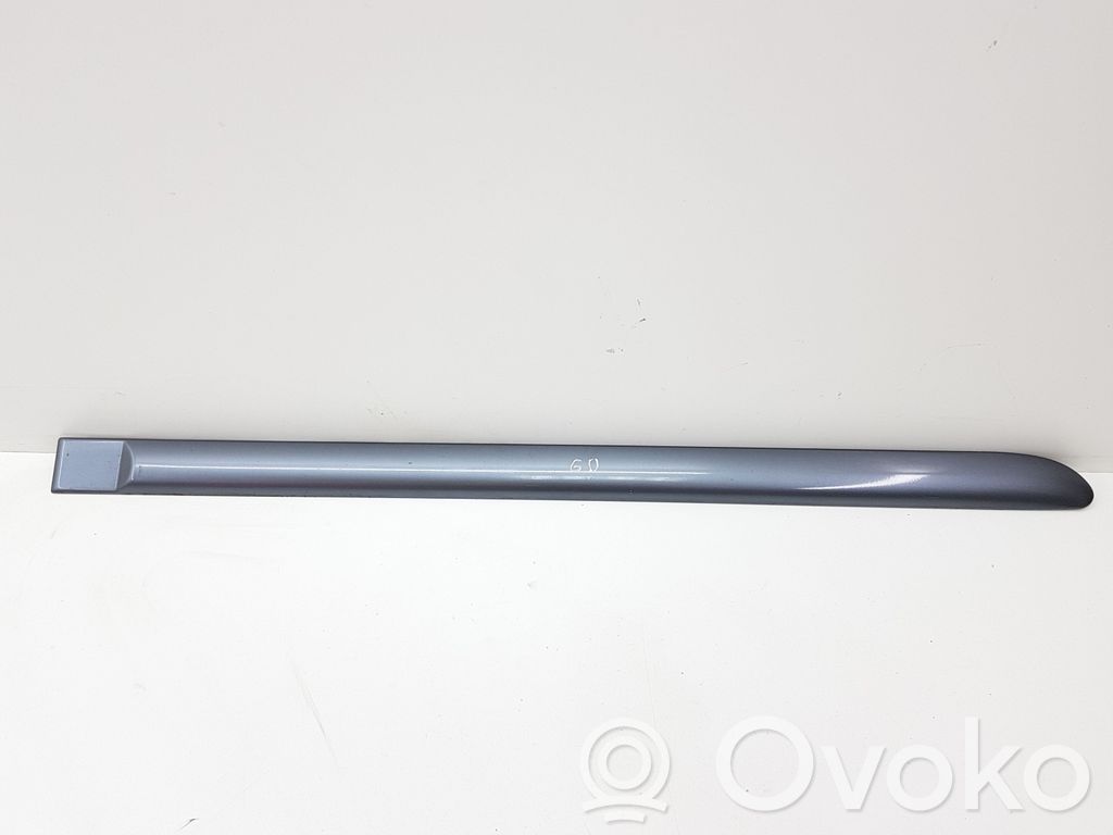 Rear door trim (molding)   90586910