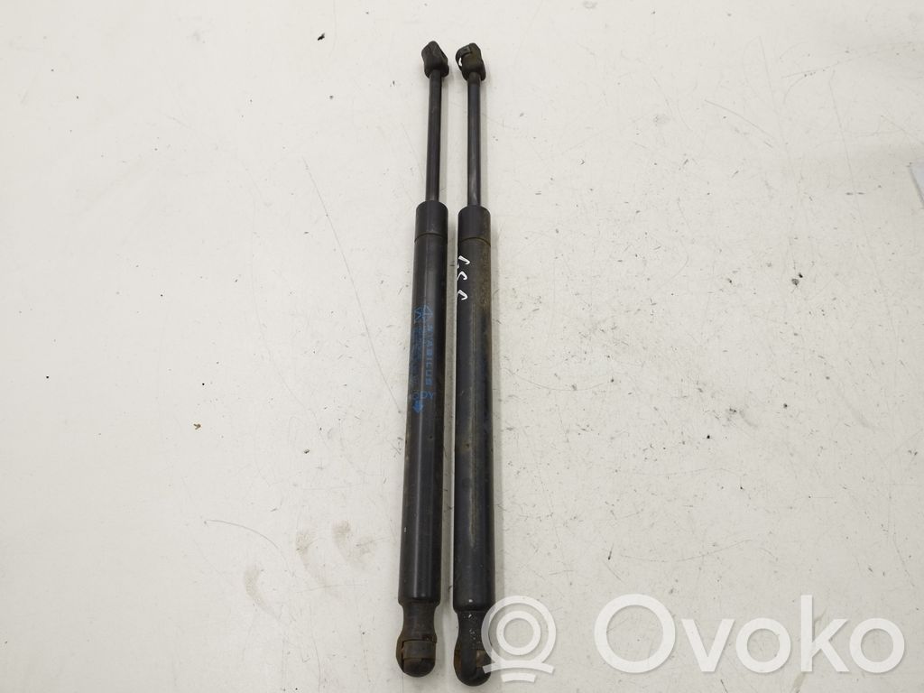 Chrysler 300 - 300C Front bonnet/hood damper/strut 