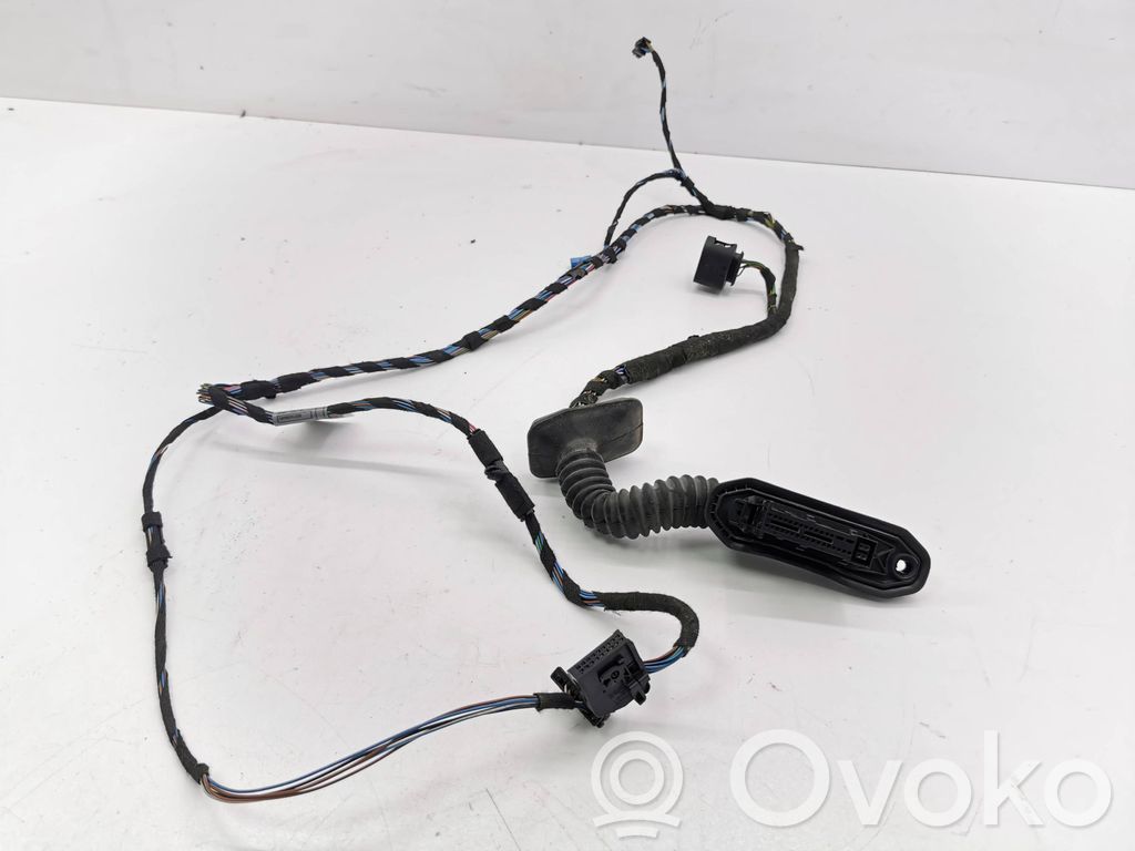 Cableado de puerta delantera   9118096,11107811