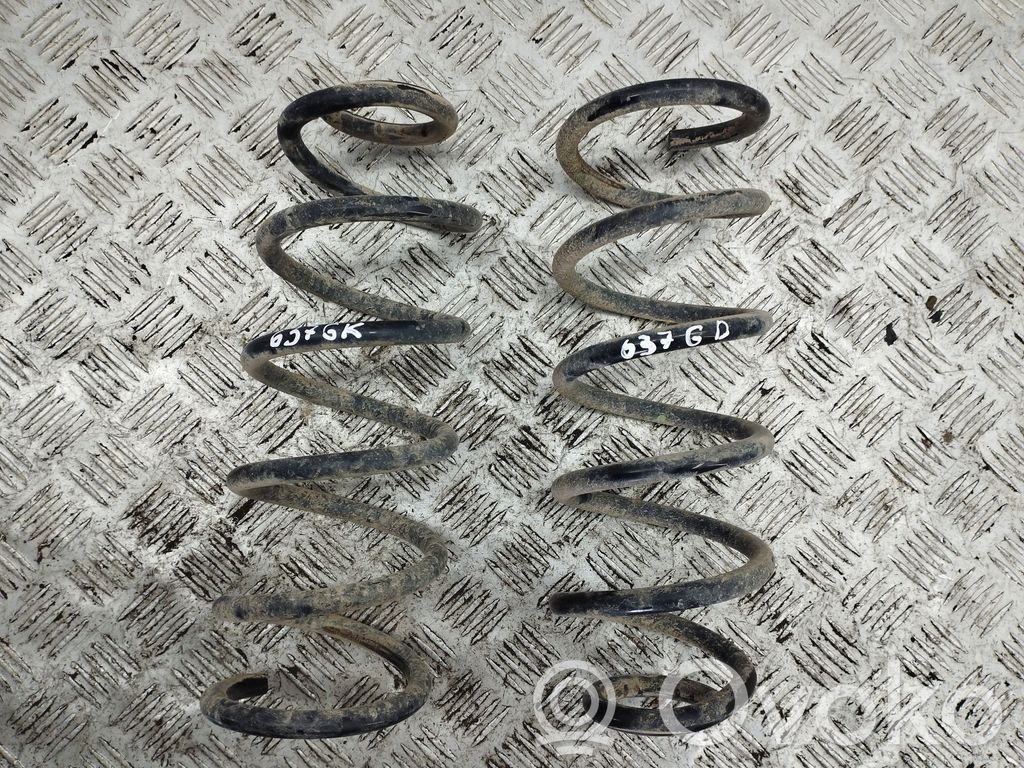 Rear coil spring