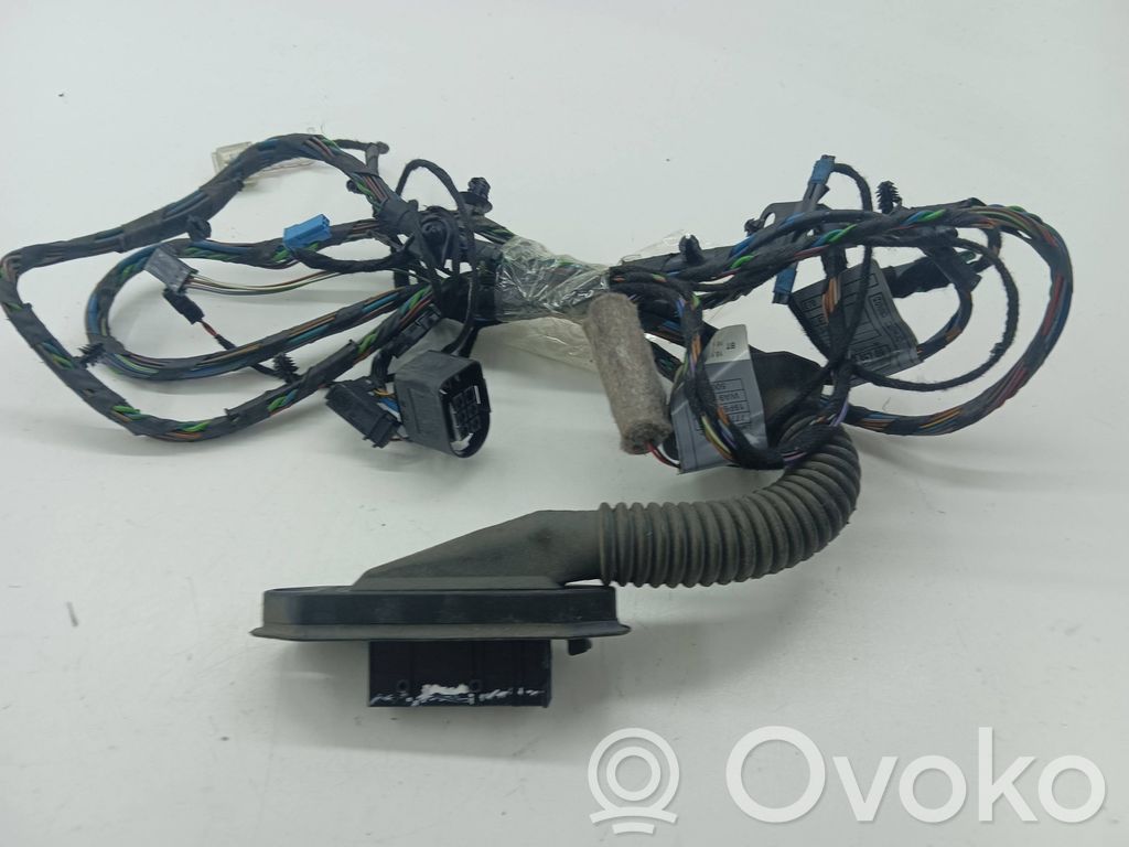 BMW X5 E70 Cableado de puerta trasera 