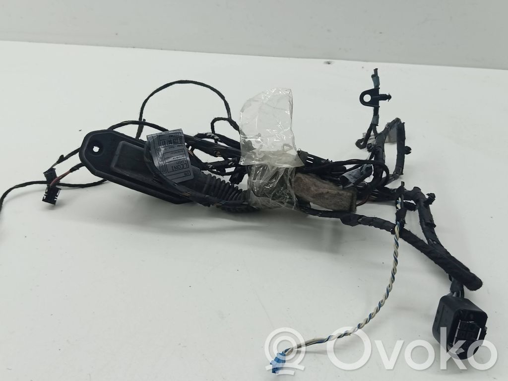 BMW X5 E70 Cableado de puerta delantera 