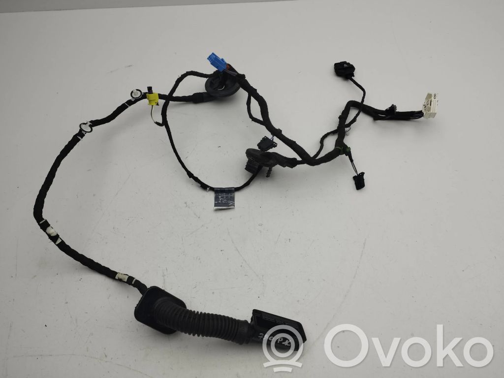 Cableado de puerta delantera   81A971030AH