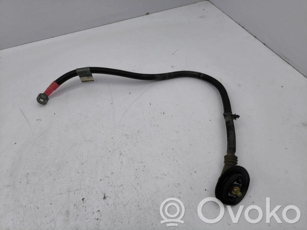 BMW X5 E53 Other wiring loom 