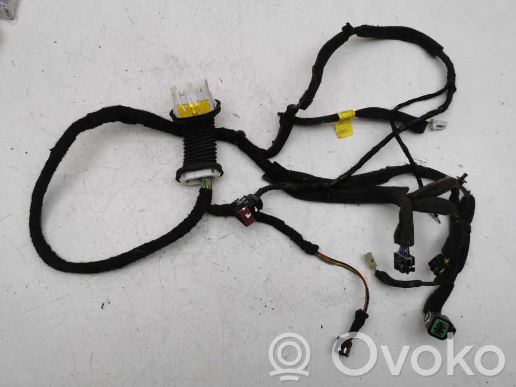 Opel Antara Cablaggio porta anteriore 