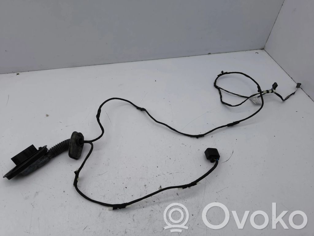 Cableado de puerta trasera   9256017,7969558