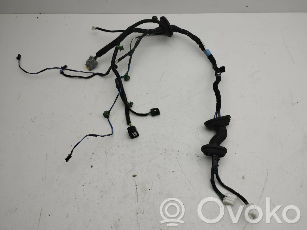 Tesla Model S Cableado de puerta trasera 