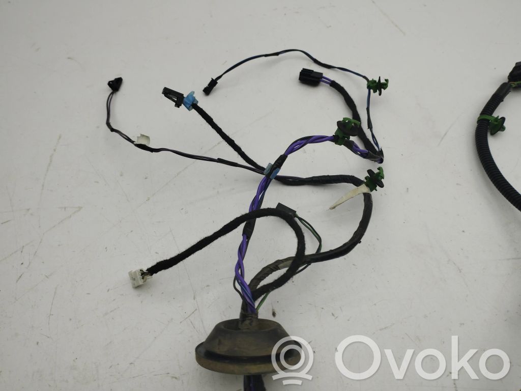 Tesla Model S Cableado de puerta trasera 