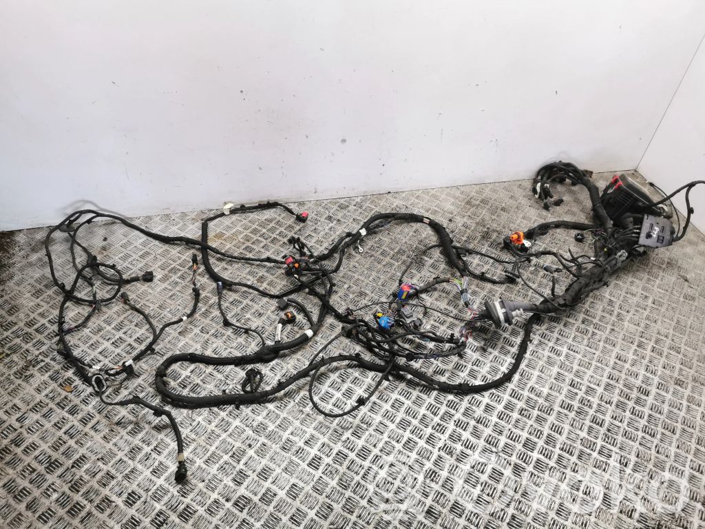 Citroen C4 III e-C4 Cablaj motor 