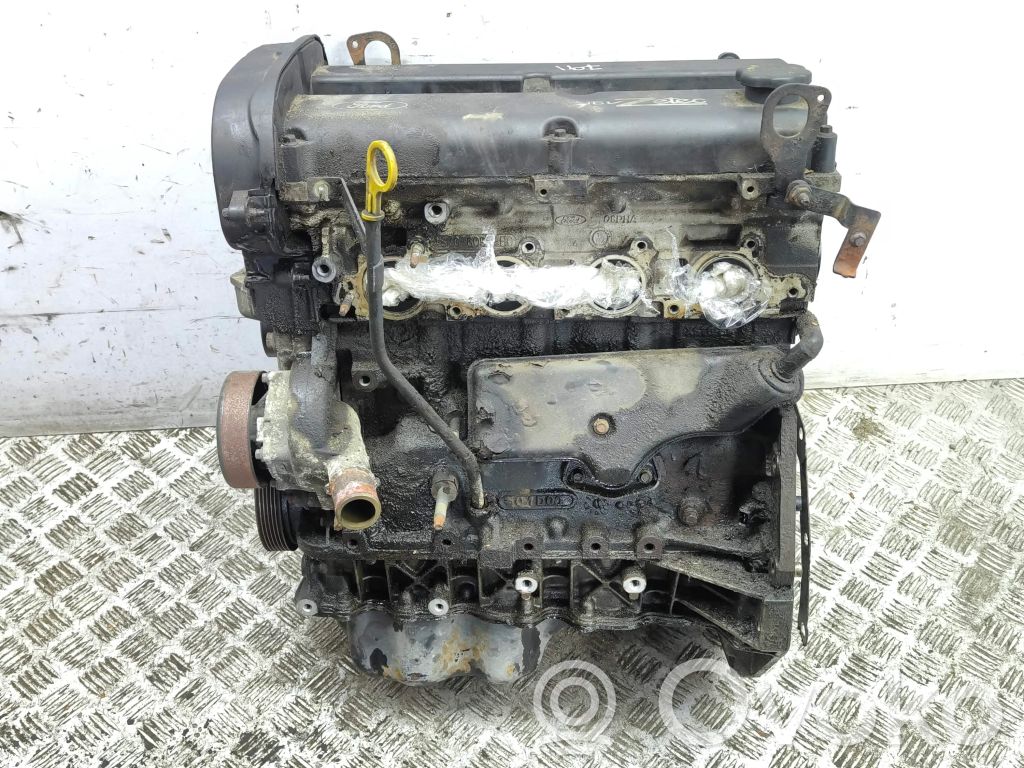 Ford Focus Engine 