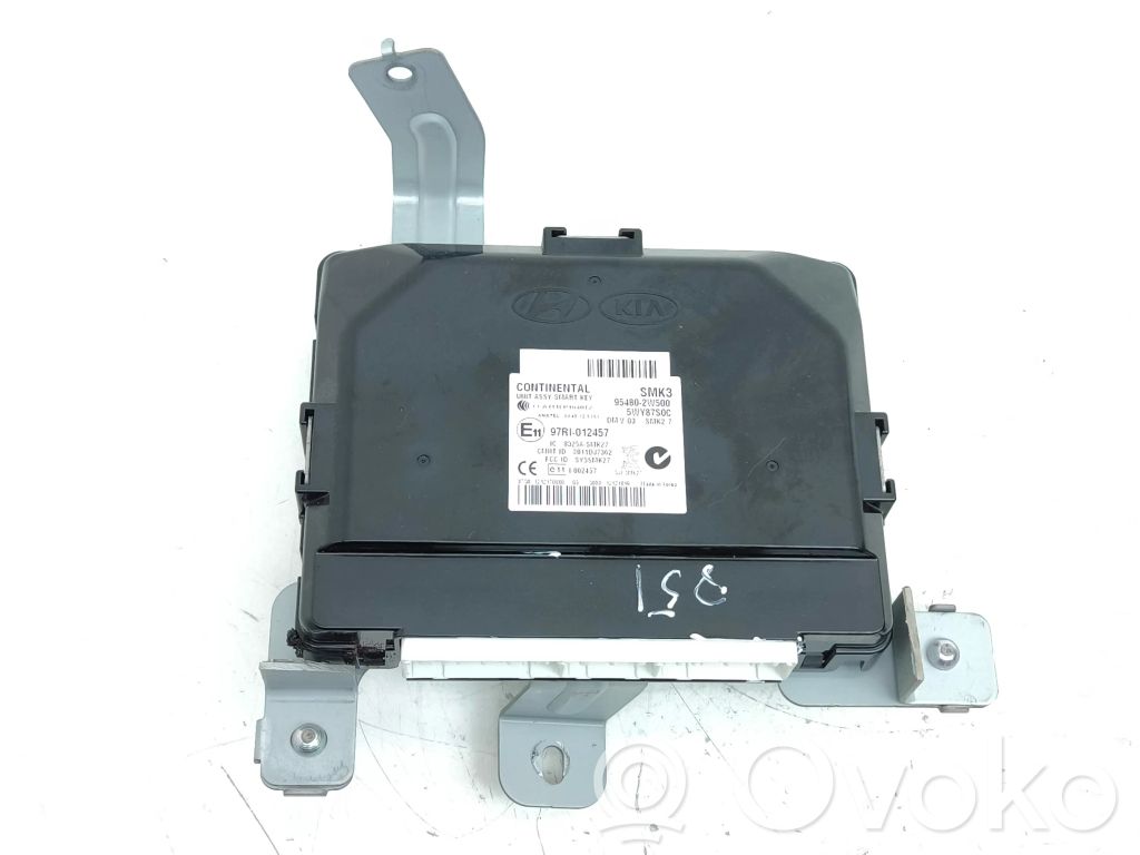 Hyundai Santa Fe Unité de commande / module de verrouillage centralisé porte