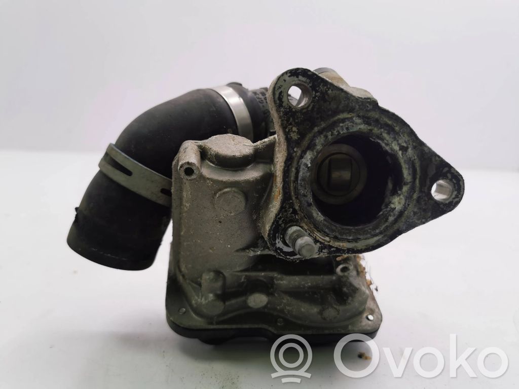 Nissan Juke I F15 Supapă EGR 