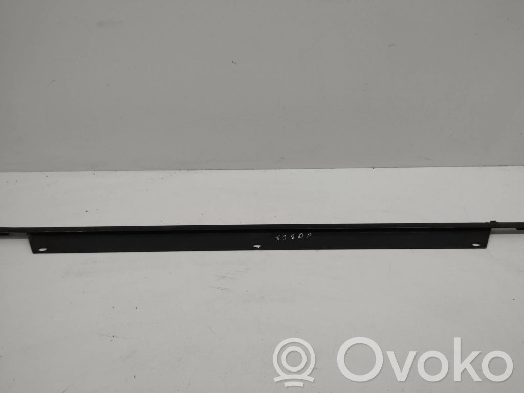 Audi Q7 4L Listwa / Uszczelka szyby drzwi przednich 