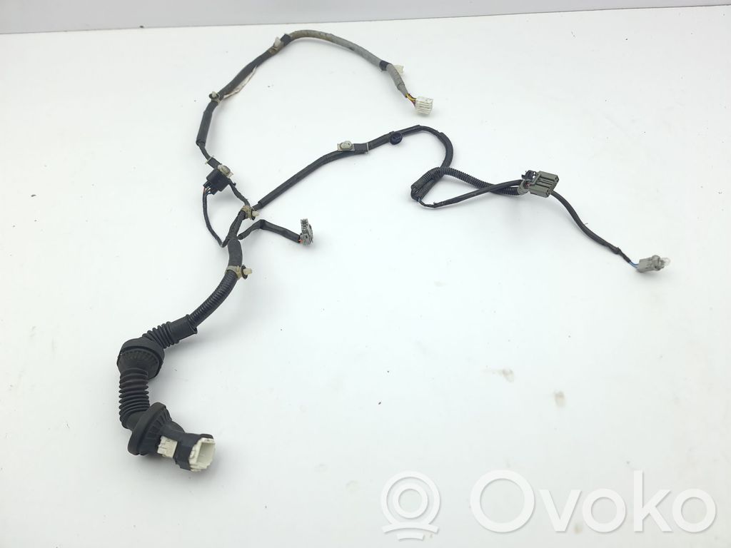 Honda Accord Cableado de puerta trasera 