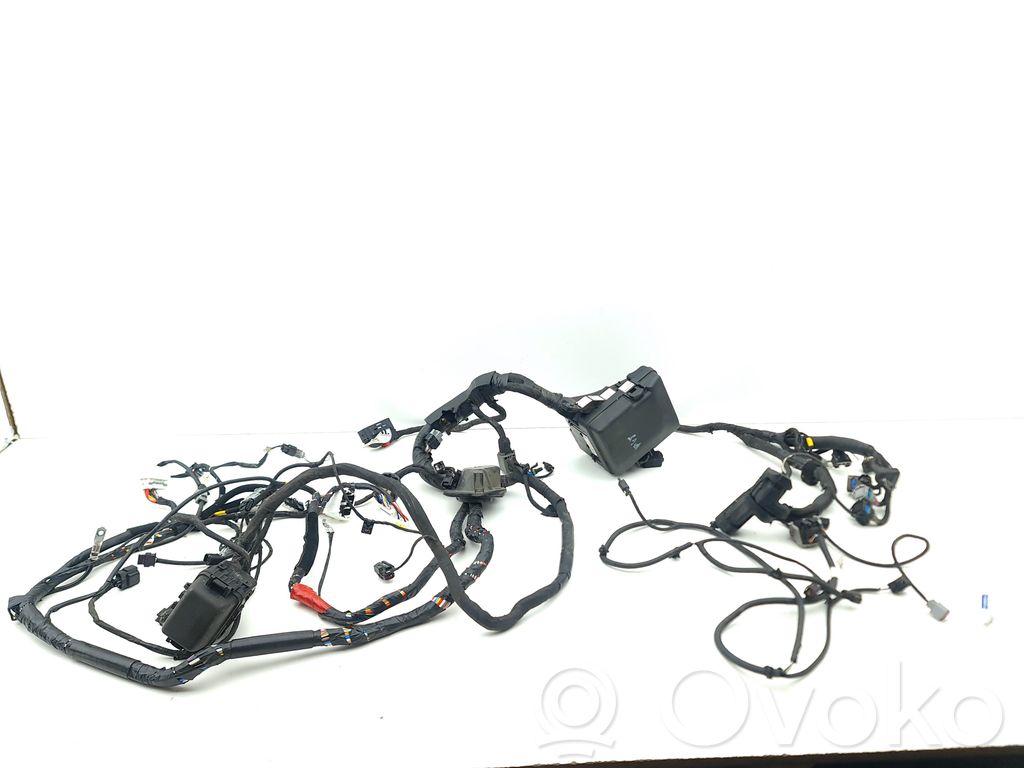 KIA Optima Cableado de instalación del motor 