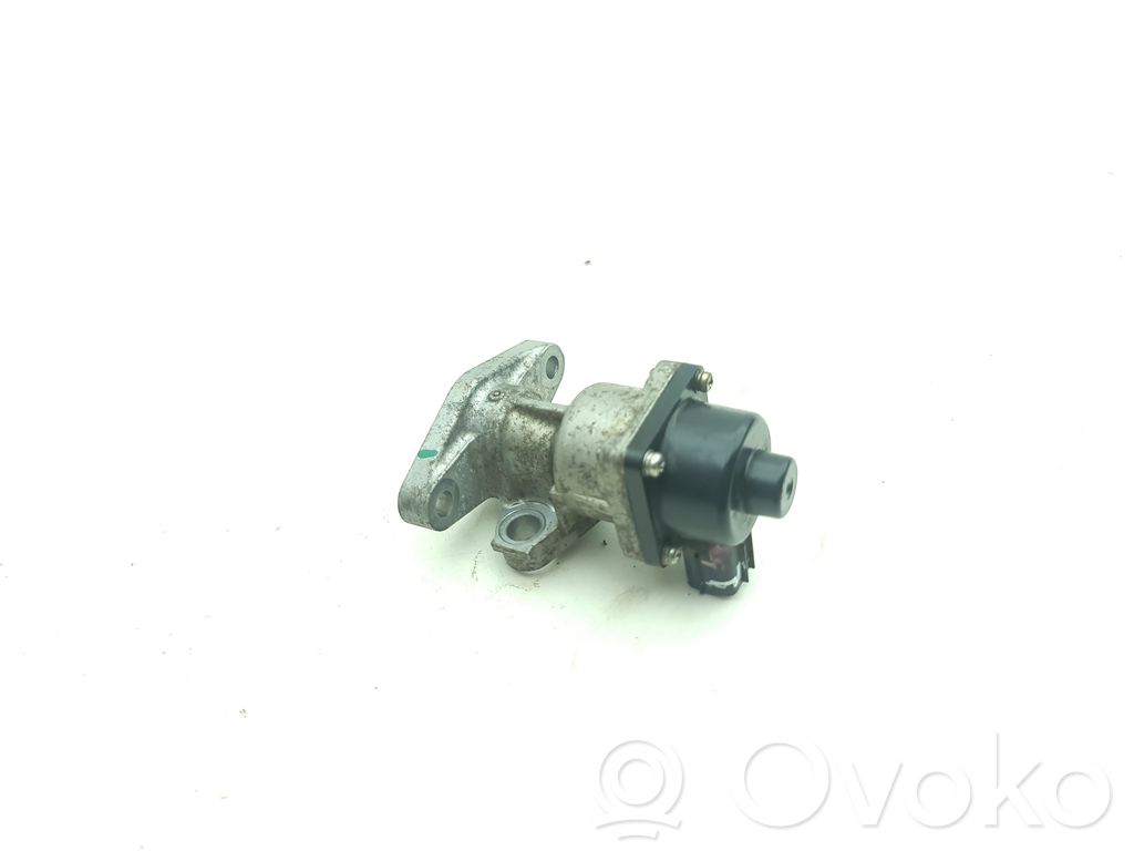 Válvula EGR   79179