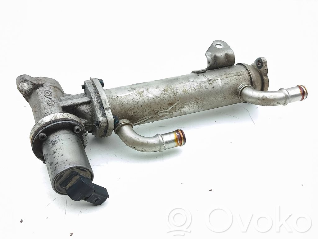 Hyundai Santa Fe Valvola di raffreddamento EGR