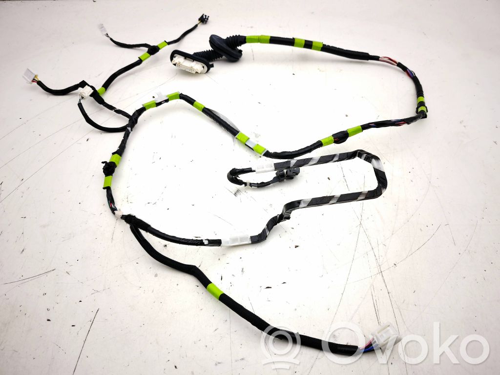 Lexus RX 450H Cableado de puerta trasera 