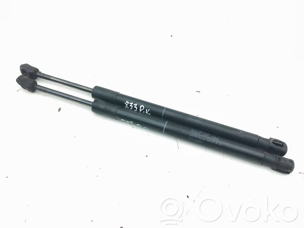 BMW X5 F15 Ammortizzatore portellone anteriore/cofano 