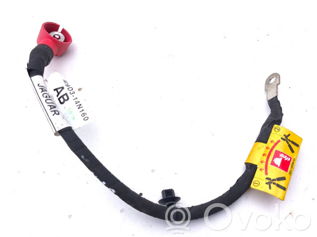 Cable positivo (batería)   M9D314N160AB