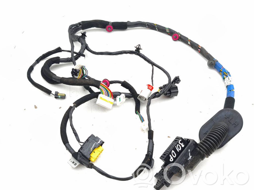 Cableado de puerta delantera   91601J9080,J9080