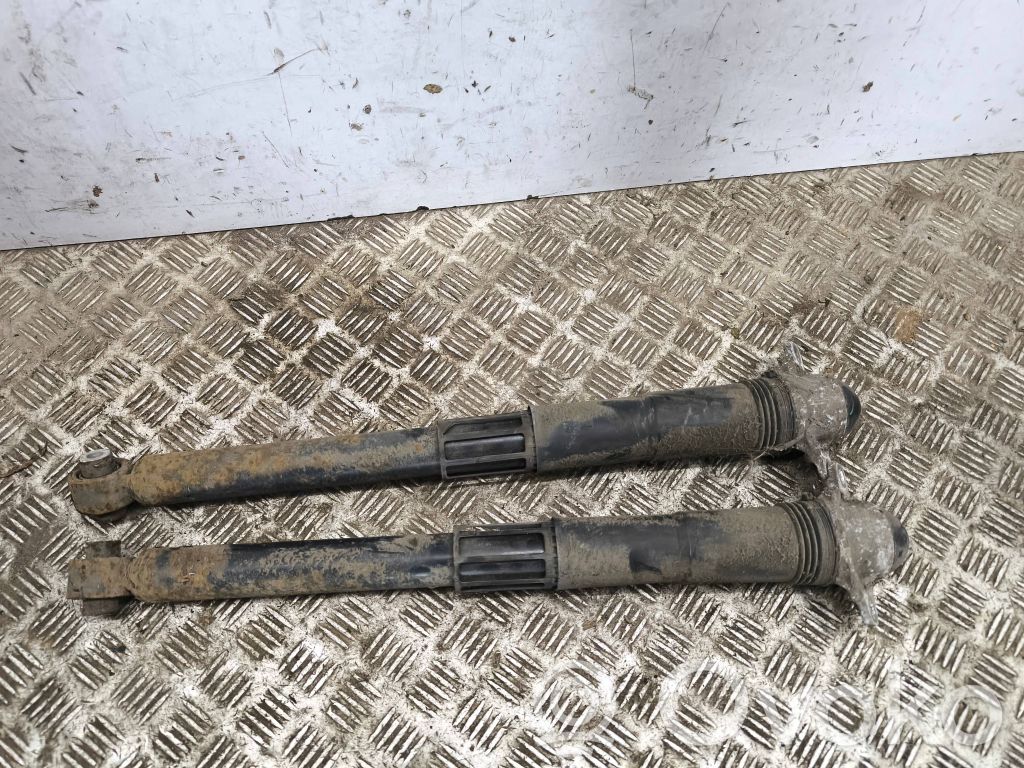 Volkswagen Tiguan Amortizor spate