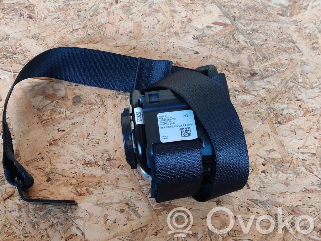 Cinturón trasero   1616501