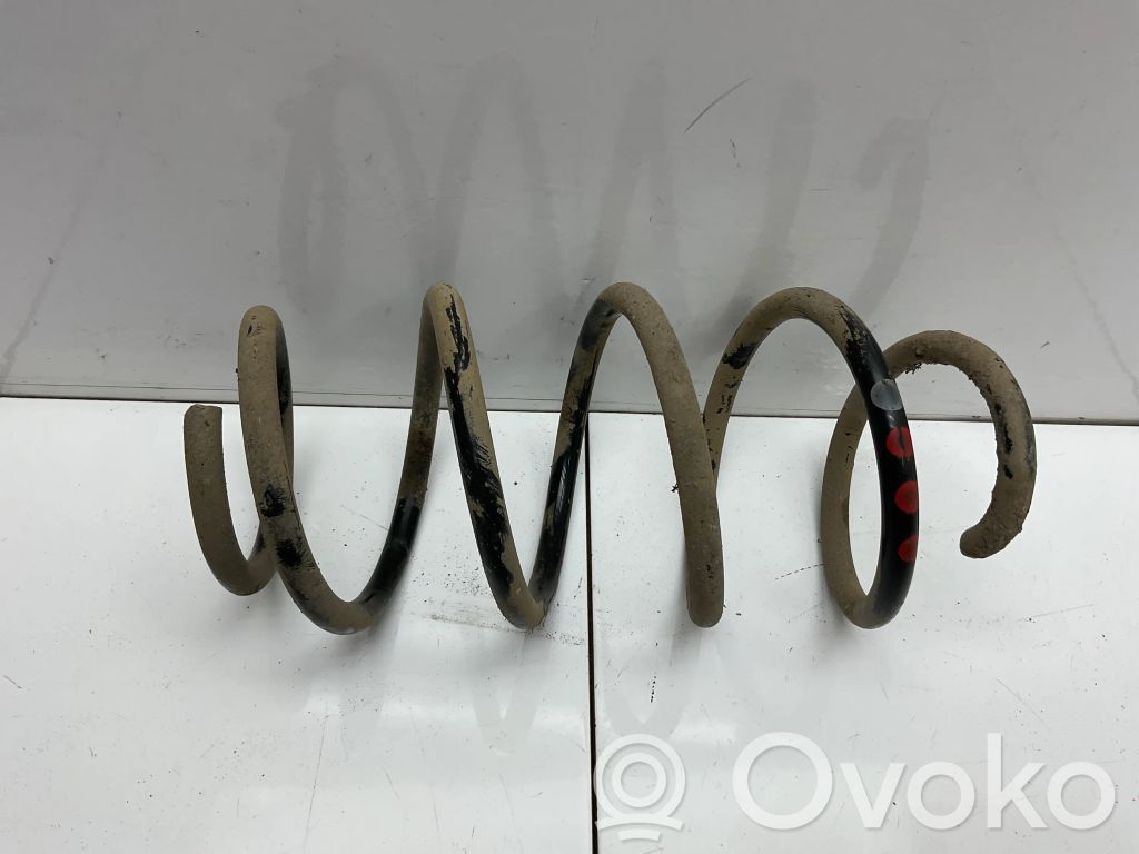Front coil spring