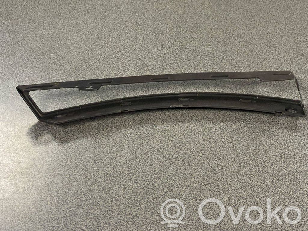 Volkswagen PASSAT B6 Front indicator light 