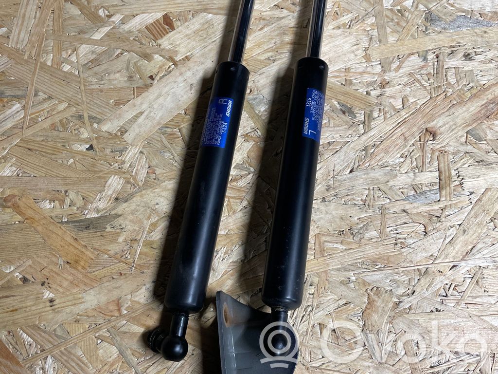 Tailgate/trunk strut/damper