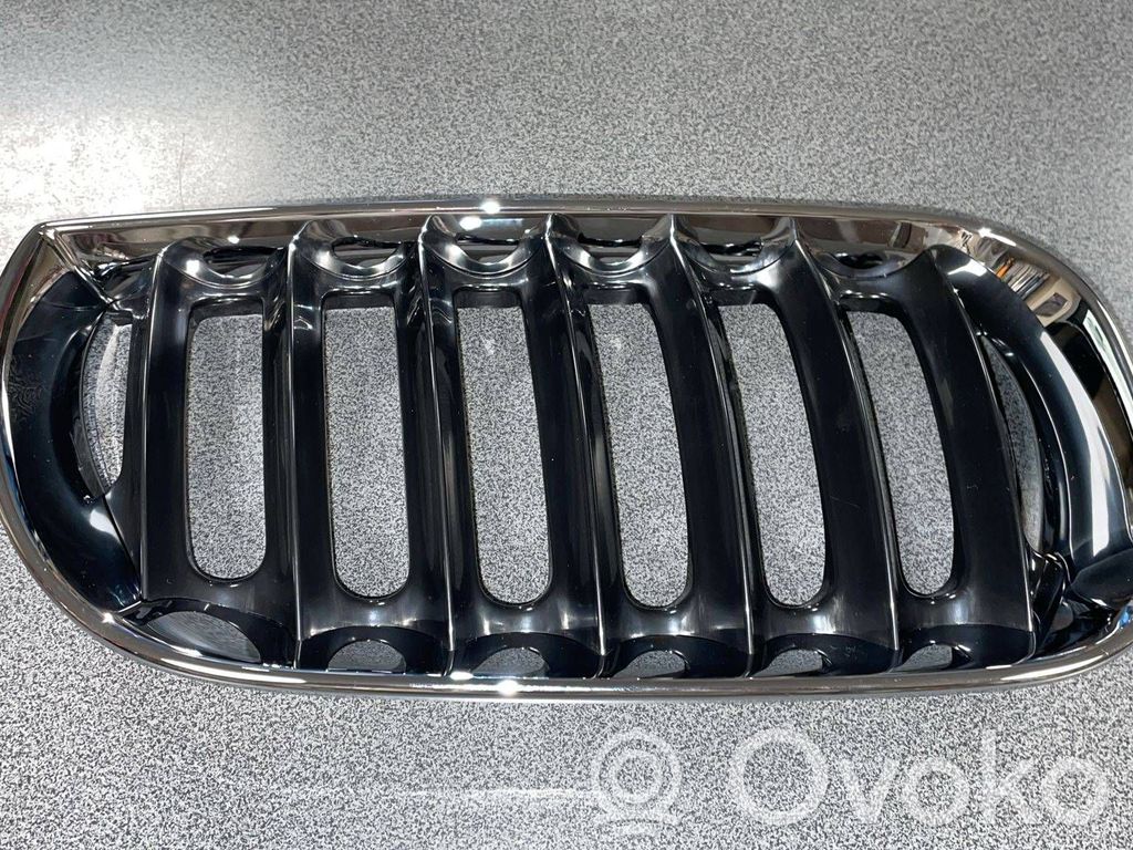 BMW X3 E83 Front grill 