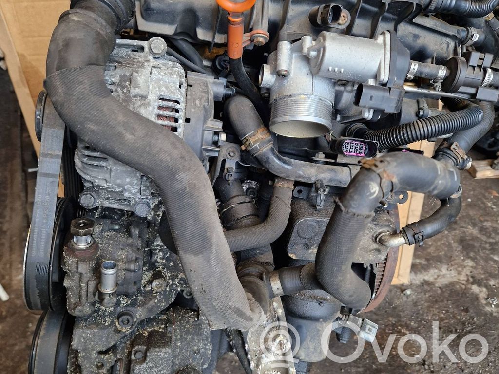 Motor   BPJ012231,BPJ