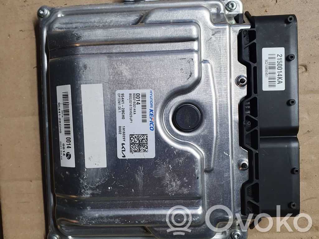 Engine control unit/module ECU   954412BGH0,1A16329Y,9002150014KA