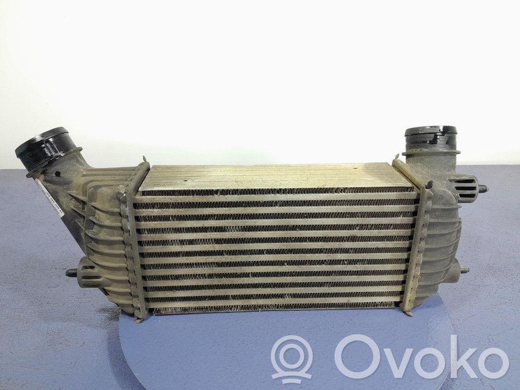 Peugeot Expert Starpdzesētāja radiators 