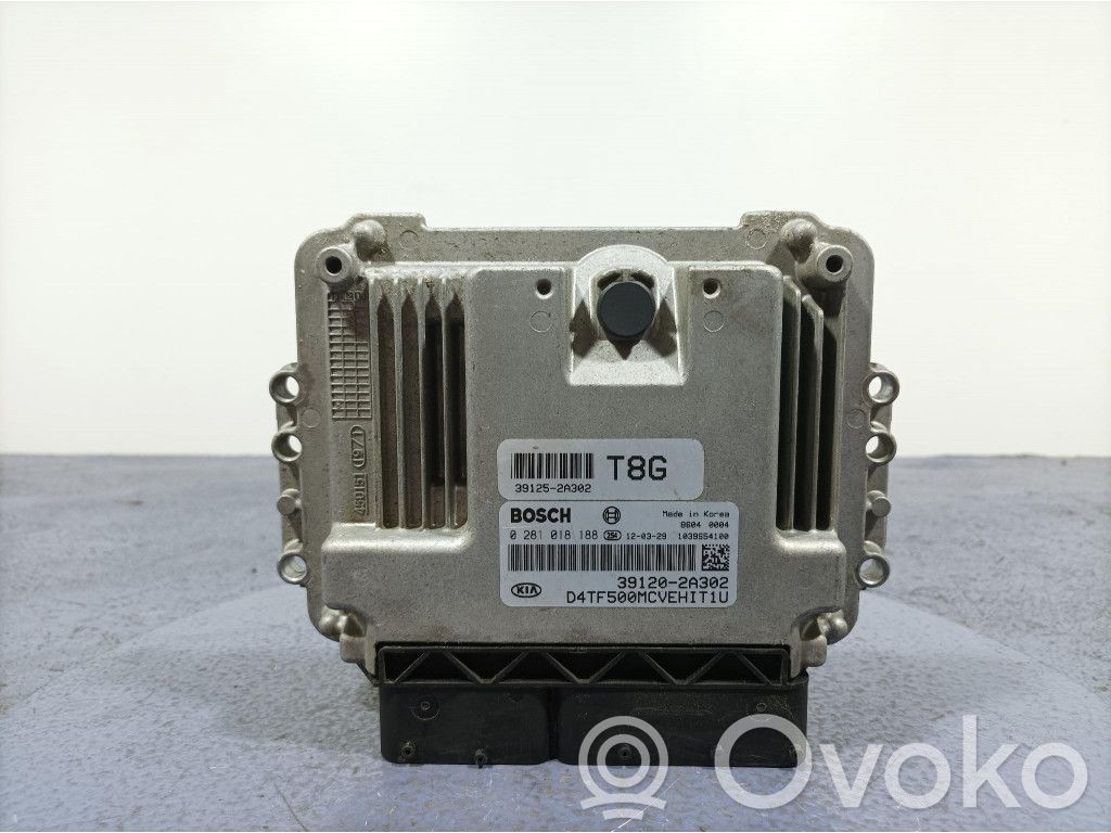 Engine control unit/module ECU   391202A302,391202A302