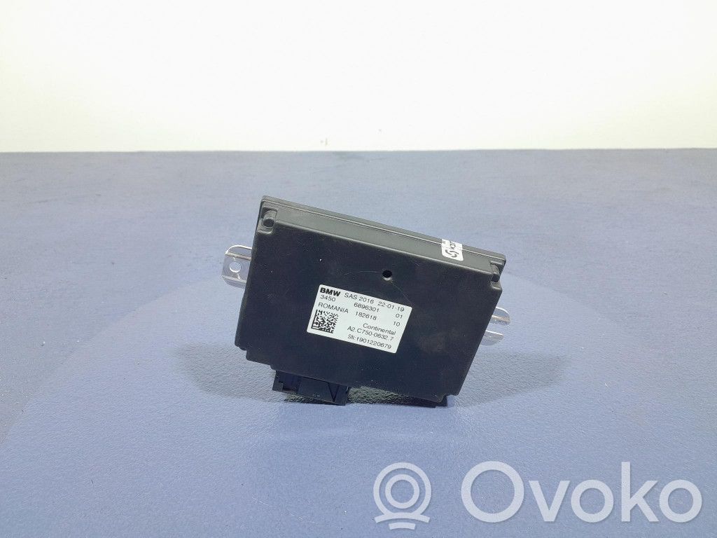 Other control units/modules   6896301,6896301