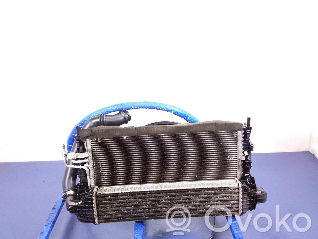 Ford C-MAX I Radiator lichid răcire 