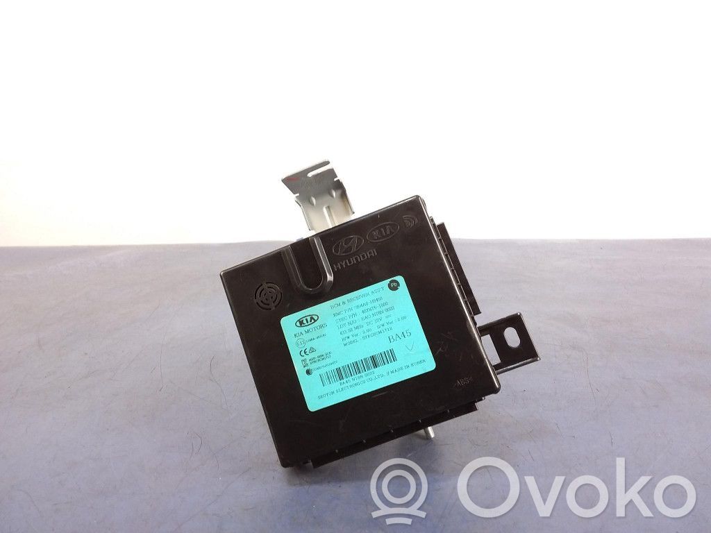 KIA Rio Sonstige Steuergeräte / Module 