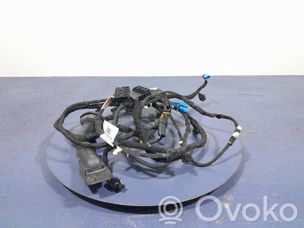 BMW X7 G07 Altro tipo di cablaggio 