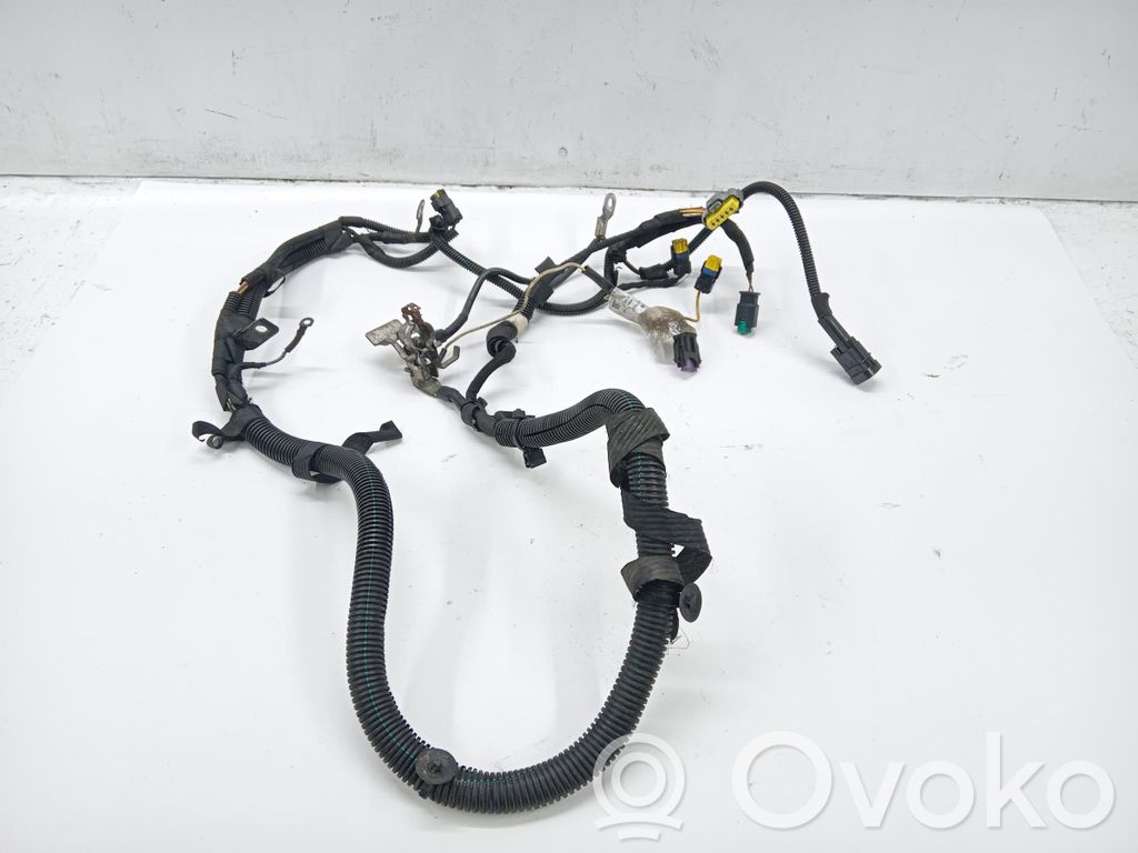 Peugeot 407 Cableado de puerta delantera 